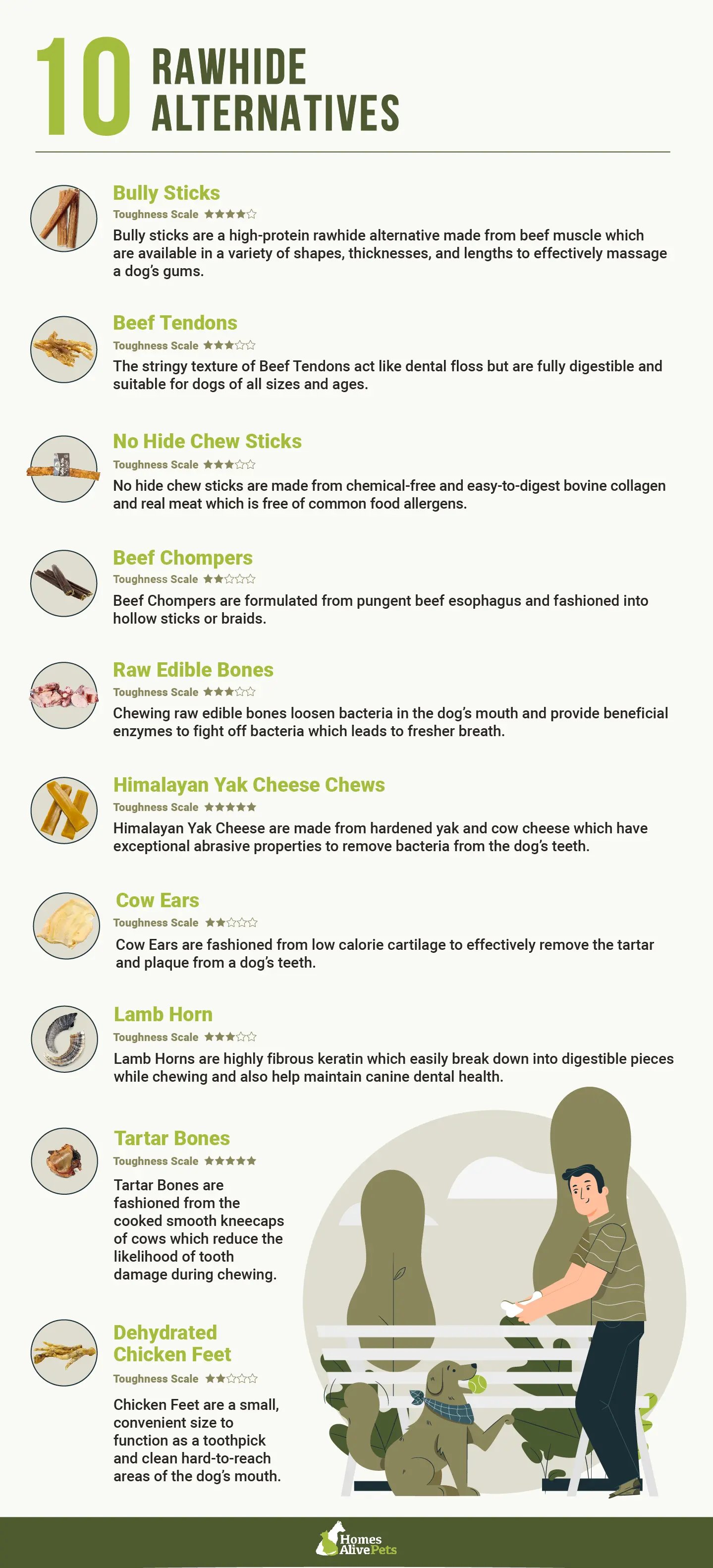 Is Rawhide Good for Dogs? 10 Best Rawhide Alternatives for Dogs